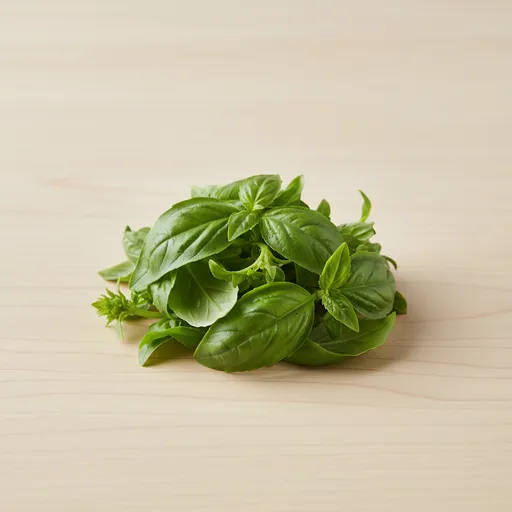 Verse basilicum