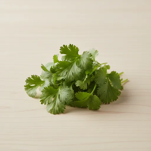 Koriander
